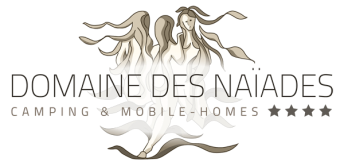 Visiter le Site en Ligne